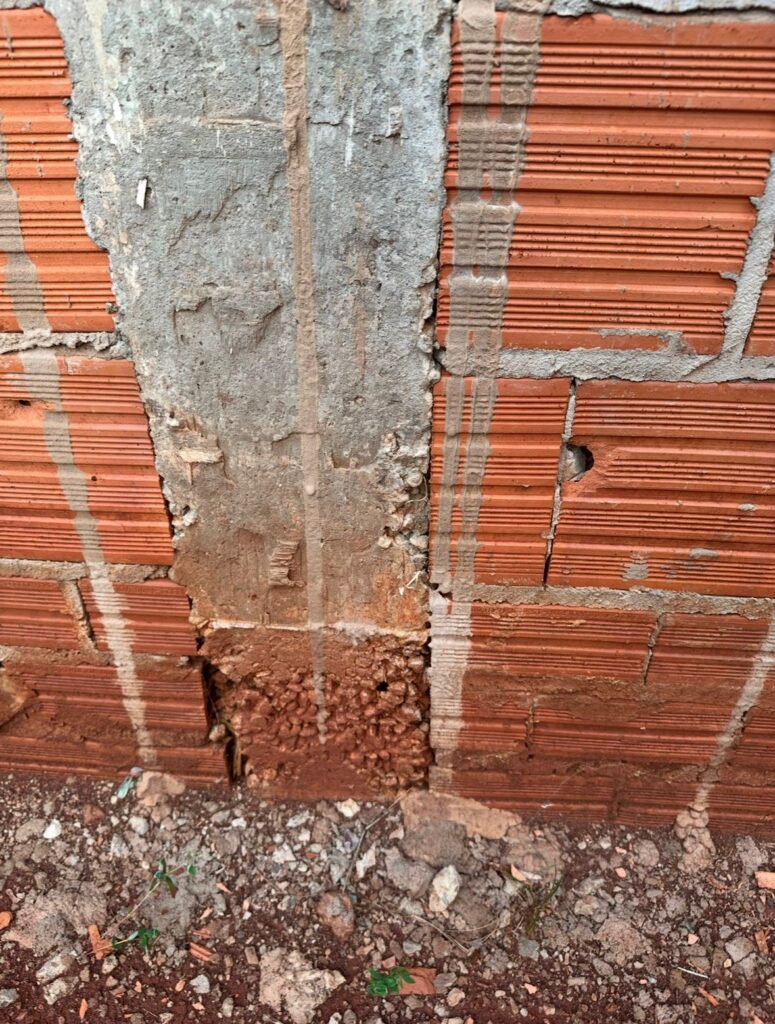 coluna